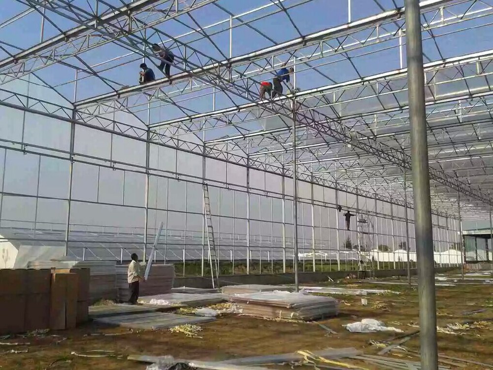 洛陽生態(tài)餐廳用譽耐8mm陽光板